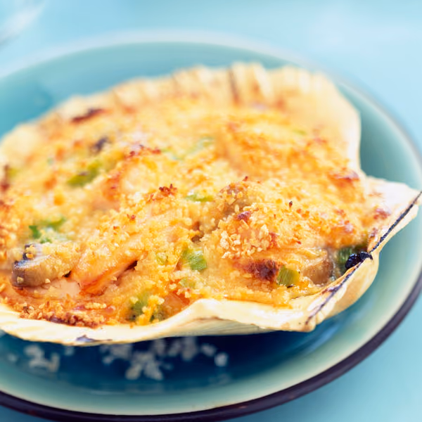 coquille de la mer